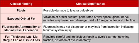 Minor Care Series Eyelid Lacerations — Taming The Sru