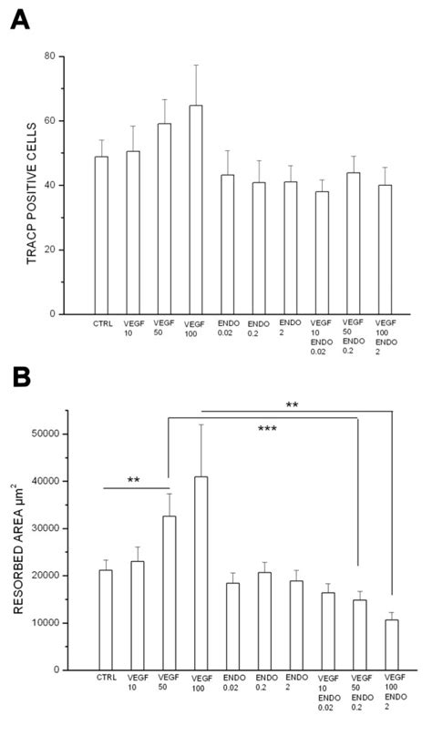 Number Of Tracp Multinuclear Cells And The Activity Of Bone Resorption