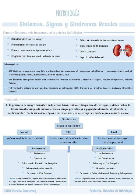 Síntomas Signos y Síndromes Renales Juliet Morales Cazaurang uDocz