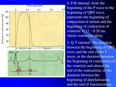 Ppt Section 2 Electrophysiology Of The Heart Powerpoint Presentation