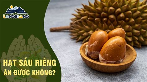 Hạt Sầu Riêng Có ăn được Không Và Có Công Dụng Gì Với Sức Khỏe