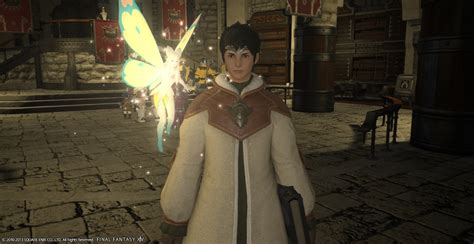 Final Fantasy Xiv Scholar Guide Mmopixel