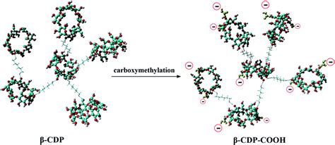 Preparation Of A Carboxymethyl Cyclodextrin Polymer And Its Rapid