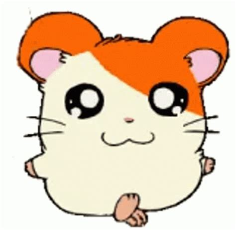 Hamtaro Hamster Sticker Hamtaro Hamster Discover Share Gifs