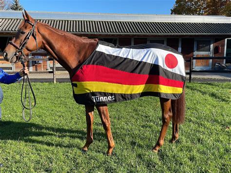 Stargalopper T Nnes Auf Dem Weg Zum Japan Cup Deutscher Galopp