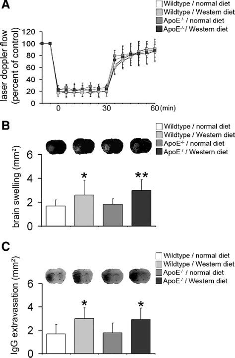 Figure 1 From Increased BloodBrain Barrier Permeability And Brain