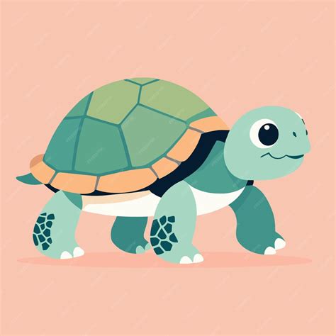 Premium Vector Cute Turtle Tortoise Cartoon Illustration Vector Clipart Design