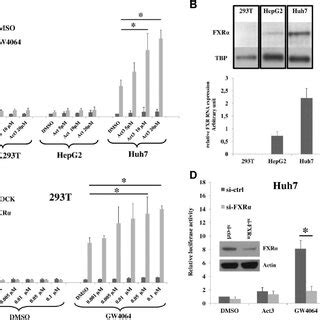 SIRT1 Activation Enhances FXR Induced Activation Of The HBV Core