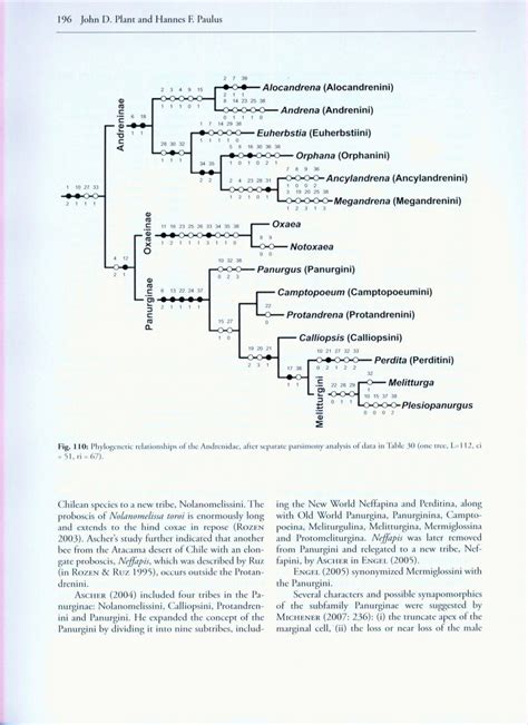 Evolution And Phylogeny Of Bees Nhbs Academic And Professional Books