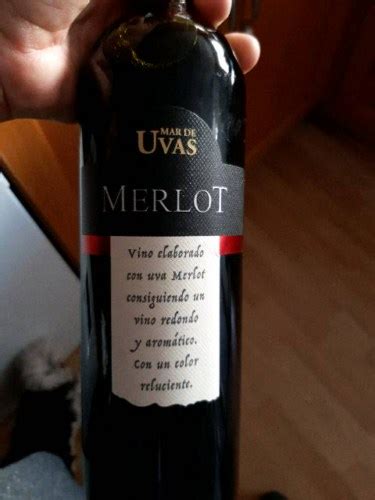 2019 Viña Tridado Mar de UVas Merlot Vivino