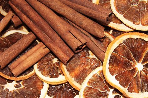 cinnamon  orange  stock photo public domain pictures