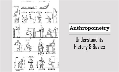 History And Basics Of Anthropometry