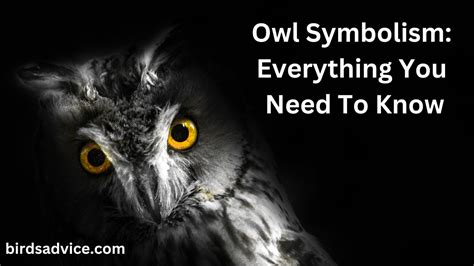 Owl Symbolism: Everything You Need To Know