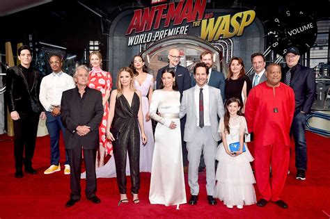 Exploring The Ant-Man Cast: A Look At The Marvel Cinematic Universe's ...