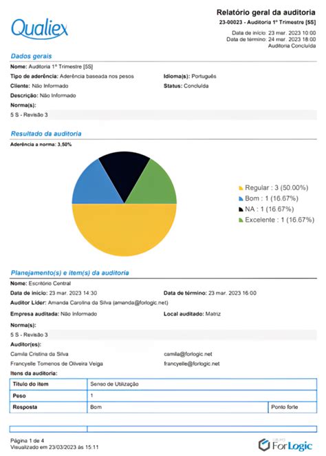 Relatório De Auditoria As 8 Informações Que Não Podem Faltar Blog Da