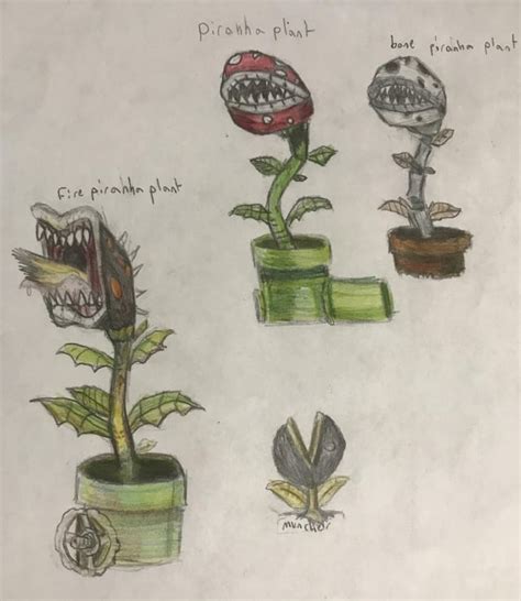 A drawing of a piranha plant, a fire piranha plant, a bone piranha ...