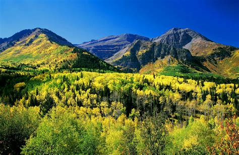 Timpanogos Cave National Monument | National Park Foundation