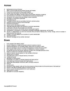 Sensation And Perception Part II Crossword For Psychology TPT