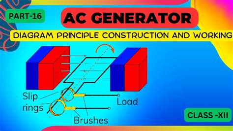 Ac Generator Diagram Principle Construction And Working Class 12 Electromagnetic Induction