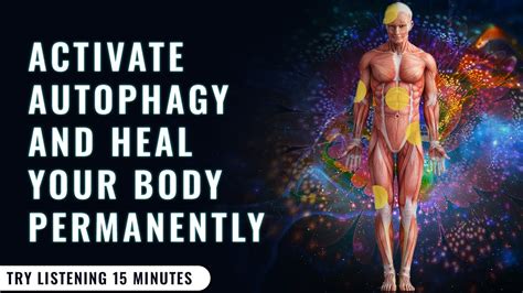 Autophagy Activation 285 Hz Heals Regenerates Tissues Alpha Waves