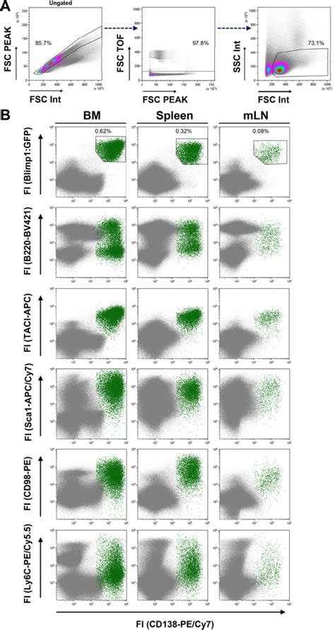 Comparison Of Common Two‐color Flow Cytometric Analyses Of Plasma Cell