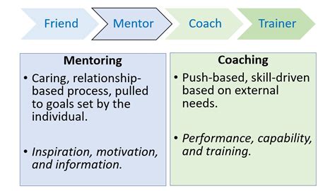 Mentoring Life Solutions Network