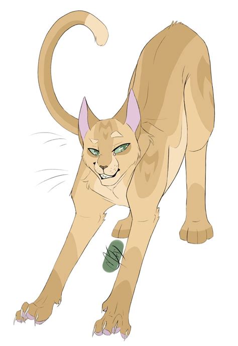 Warrior Cats Challenge Sandstorm Boy Oh Boy I Love This Girl