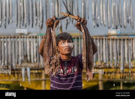 Bangladesh Chittagong Dry Fish Field On Karnaphuli River Bank