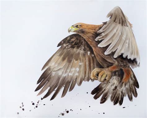 Eagle Flying Painting at PaintingValley.com | Explore collection of ...