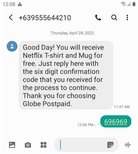 Netflix Scammer Rcasualph