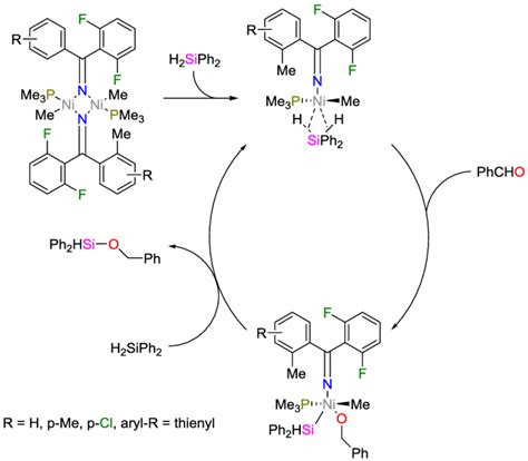 Mechanism Of The Catalysis By Nickel Nickel Complex Of The