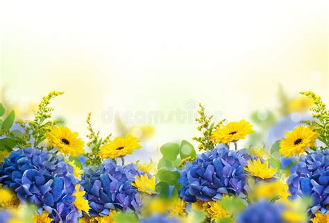 389,912 Yellow Blue Flowers Stock Photos - Free & Royalty-Free Stock ...