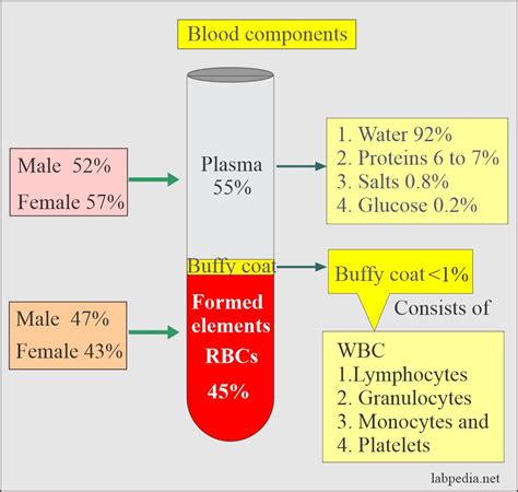 Chemical Makeup Of Blood Plasma - Makeup Vidalondon