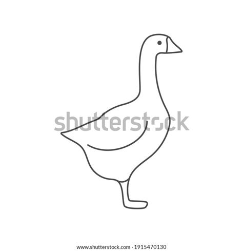 Goose Poultry Linear Outline Empty Vector Stock Vector Royalty Free