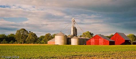 Indiana Farm Indiana