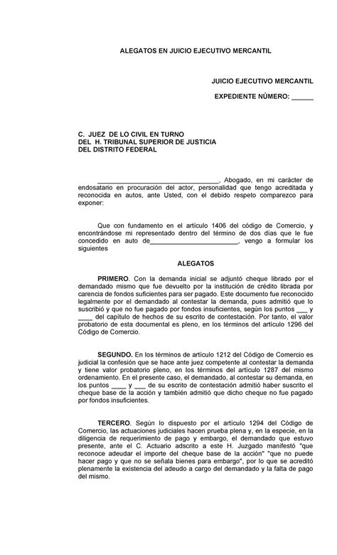 Modelo De Alegatos De Apertura En Juicio Oral 13