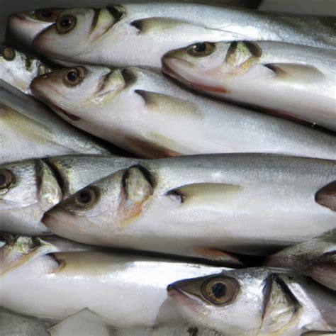 How to Start Milkfish Farming: A Comprehensive Guide to Boosting Production