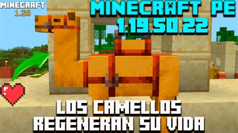 LOS CAMELLOS PUEDEN REGENERAR SU VIDA EN MINECRAFT PEMINECRAFT 1 19