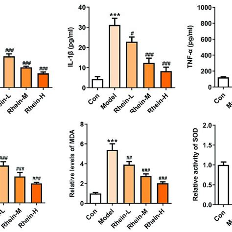 Effects Of Rhein On Inflammation And Oxidative Stress The Rats Of