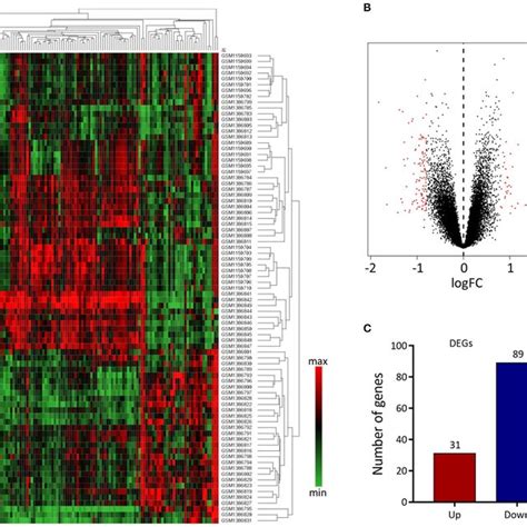 Differential Expressed Gene Deg Analysis A Heatmap Of 120 Degs Download Scientific