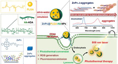 Figure 1 From Hyaluronic Acid Modified Metal Nanoparticles And Their