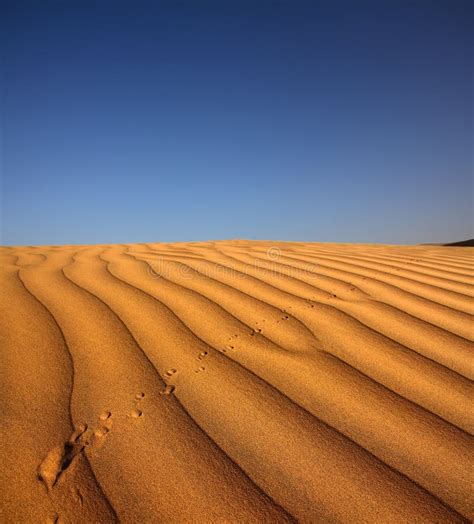 Pegada Na Duna De Areia No Deserto Imagem De Stock Imagem De