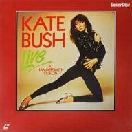 駿河屋 買取KATE BUSH LIVE AT HAMMERSMITH ODEON音楽