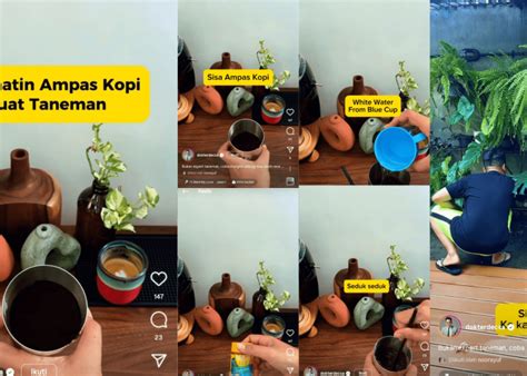 Stop Buang Ampas Kopi Yuk Sulap Ampas Kopi Jadi Pupuk Tanaman Begini