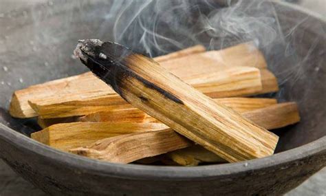 Palo Santo Propriet Benefici E Usi Del Legno Spirituale