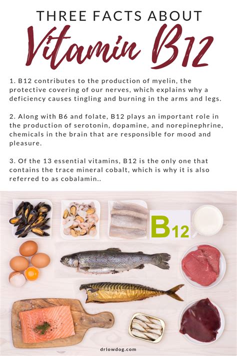 3 Facts About Vitamin B12 Vitamins Integrative Medicine B12