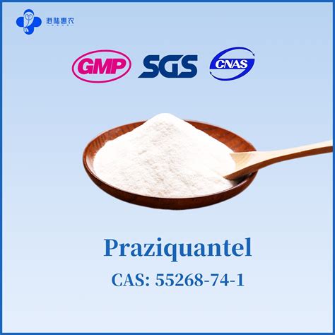 High Quality Pharmaceutical Medicine Grade Powder Praziquantel