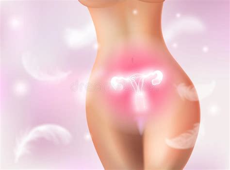 Reproductive System Background Stock Vector Illustration Of Naked Health
