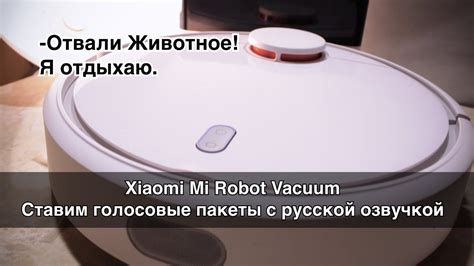 Xiaomi Mi Robot Vacuum Cleaner cтавим голосовые пакеты с русской ...
