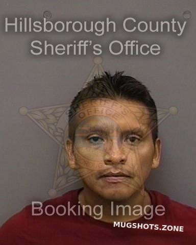 SALAS FARFAN LUIS 08 20 2022 Hillsborough County Mugshots Zone